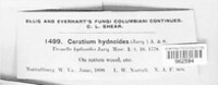 Image Associated With the Occurence